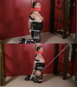 BrendasBound Bondage And Orgasm Store - Pole Bound